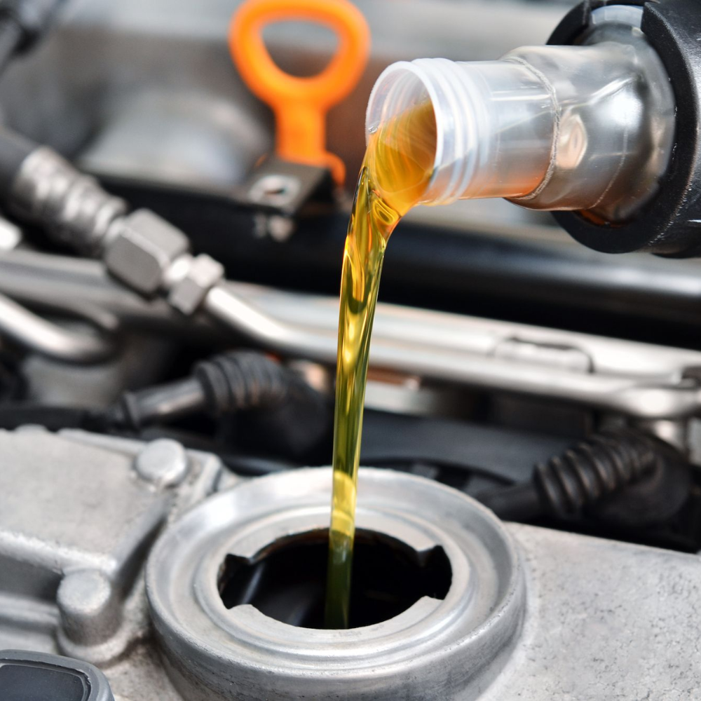 Professional Vehicle Maintenance